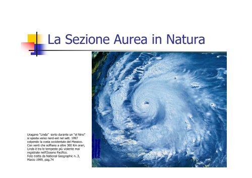 La Sezione Aurea - Sede di Architettura