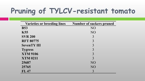 Tomato Yellowleaf Curl Virus