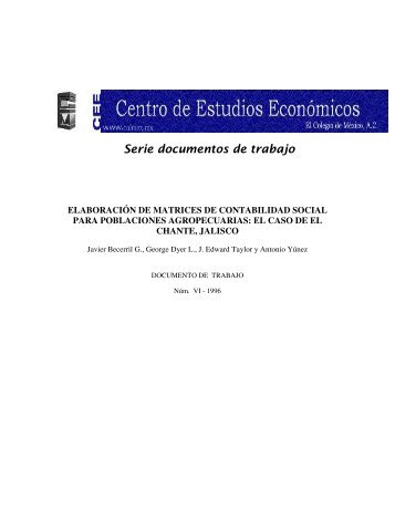 ElaboraciÃ³n de matrices de contabilidad social para poblaciones ...