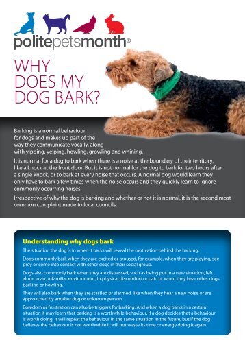 Why does my dog bark? - Australian Veterinary Association