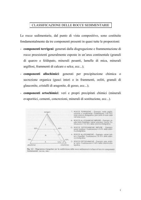 Classificazione rocce sedimentarie.pdf - Dipartimento di Scienze ...