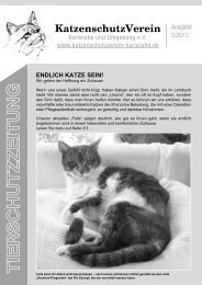 Ausgabe 02/2013 - KatzenschutzVerein Karlsruhe und Umgebung eV