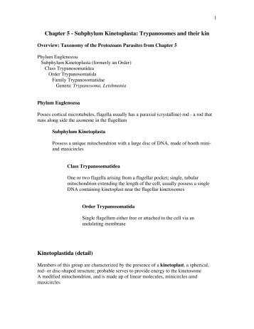 Chapter 5 - Subphylum Kinetoplasta: Trypanosomes and their kin ...
