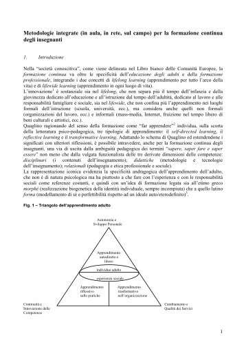 Metodologie integrate (in aula, in rete, sul campo) per la ... - Indire