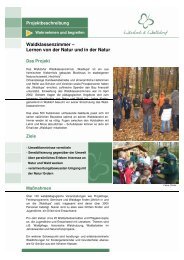Waldklassenzimmer - Entente Florale Wiesloch Walldorf - Stadt ...