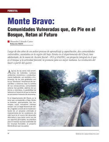 Forestal Monte Bravo - Revista El Mueble y La Madera