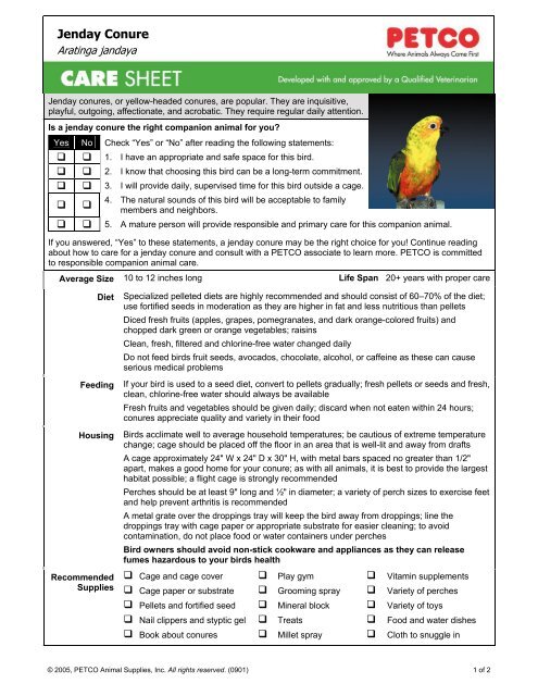 jenday conure price at petco