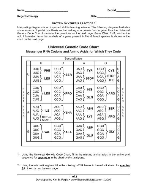 Protein Synthesis Chart