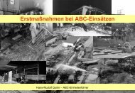 ErstmaÃnahmen bei ABC-EinsÃ¤tzen - ABC-Einsatzhandbuch