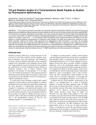 Tilt and Rotation Angles of a Transmembrane Model Peptide as ...