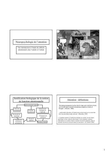 Neuropsychologie de l'attention Justification biologique ... - Resodys