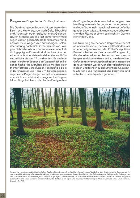 Archäologie im Wald - Landesbetrieb Hessen-Forst