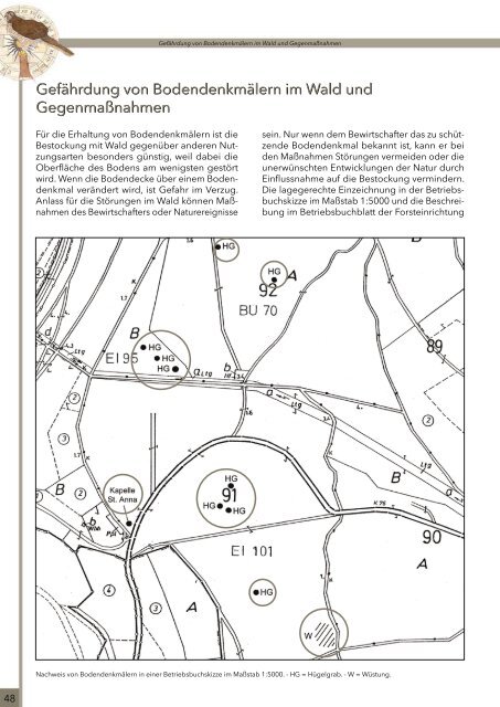 Archäologie im Wald - Landesbetrieb Hessen-Forst