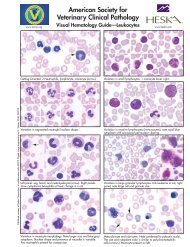 Visual Hematology Guide - Leukocytes