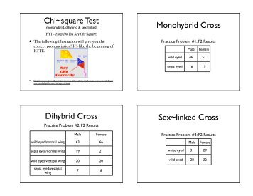 Chi~square Test Monohybrid Cross Dihybrid Cross Sex~linked Cross
