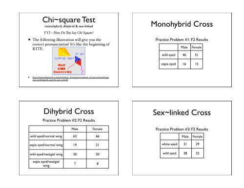 Chi~square Test Monohybrid Cross Dihybrid Cross Sex~linked Cross