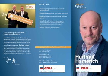 Infoflyer Hartmut Hamerich