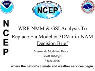 NAM-WRF - NOAA National Operational Model Archive ...
