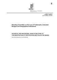 Comfort Letter Procedures Relating To Capsule Financial