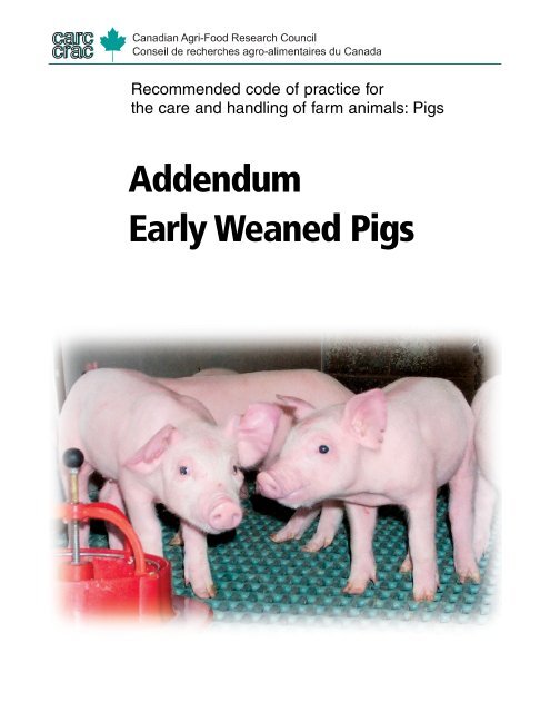 Early Weaned Pigs - Carc-Crac.ca