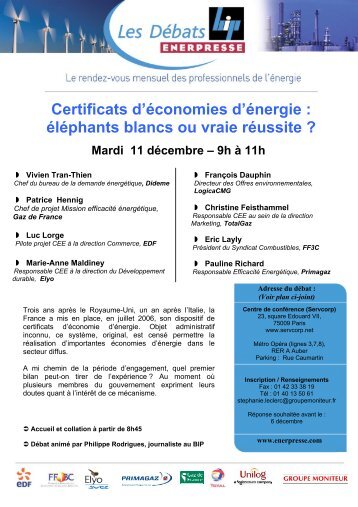 Certificats d'économies d'énergie : éléphants blancs ou vraie - Logica