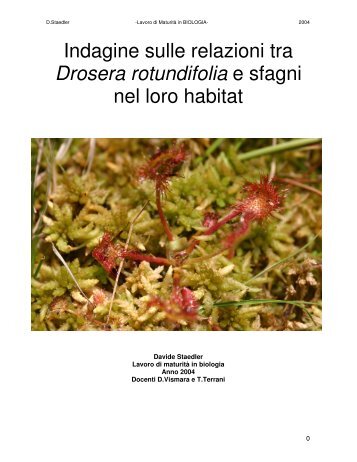 Indagine sulle relazioni tra D.rotundifolia e sfagni nel loro habitat.pdf