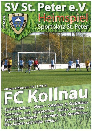 SVS-Heimspiel 2014/15-06