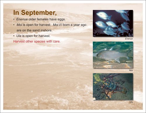 2011 Pono Fishing Calendar.indd - Western Pacific Fishery Council