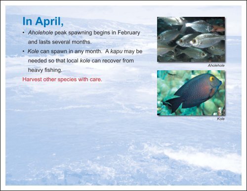 2011 Pono Fishing Calendar.indd - Western Pacific Fishery Council