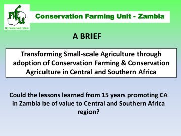 Zambia - Rosa Luxemburg Stiftung | Southern Africa