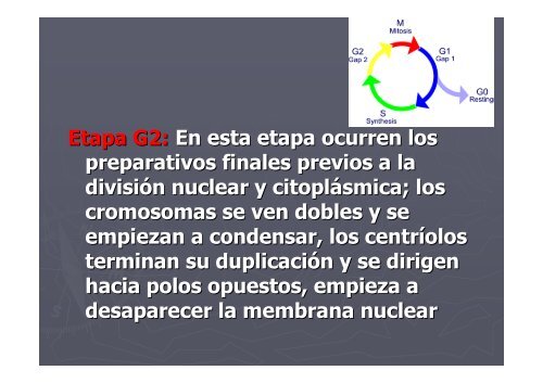 Bases farmacolÃ³gicas de la quimioterapia del CÃ¡ncer