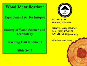 Wood Identification - Society of Wood Science and Technology