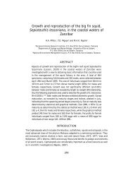 Growth and reproduction of the big fin squid, Sepioteuthis ...