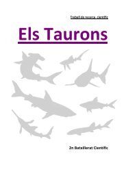 Els Taurons - Ajuntament de Roses