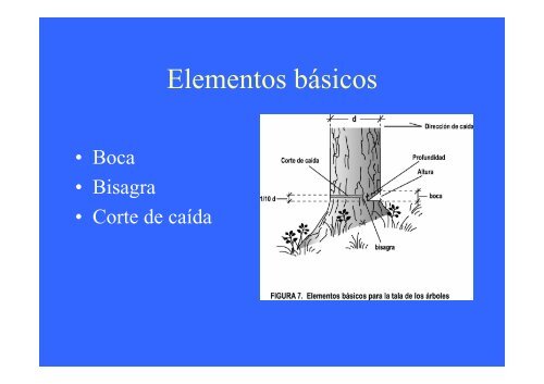 AIR - Resumen