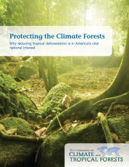 The Full Report - The Commission on Climate and Tropical Forests