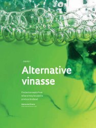 Alternative vinasse - Revista Pesquisa FAPESP