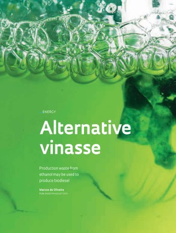 alternatives on use of vinasse 24 the use of vinasse in organic livestock production or handling from which comparisons may be drawn 107 alternative applications of distillery vinasse are . alternatives on use of vinasse 24 the use of vinasse in organic livestock production or handling from which comparisons may be drawn 107 alternative applications of distillery vinasse are .