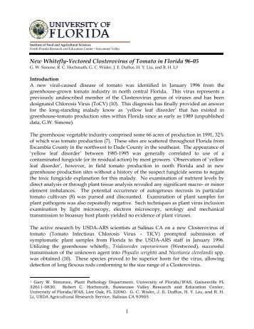 96-05 New Whitefly-Vectored Closterovirus of Tomato in Florida