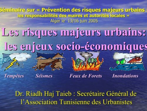 Les risques majeurs urbains: les enjeux socio ... - Euromedina