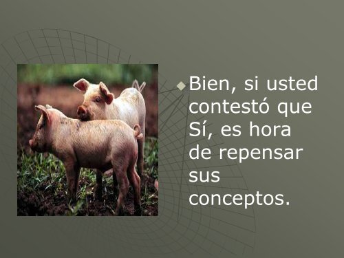 Cerdo DomÃ©stico - Centro de InformaciÃ³n de Actividades Porcinas
