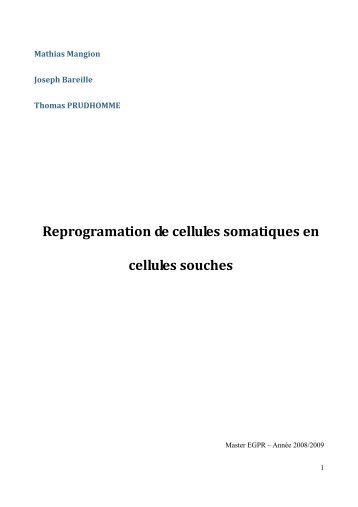 Reprogrammation de cellules somatiques en cellules souches - M2 ...