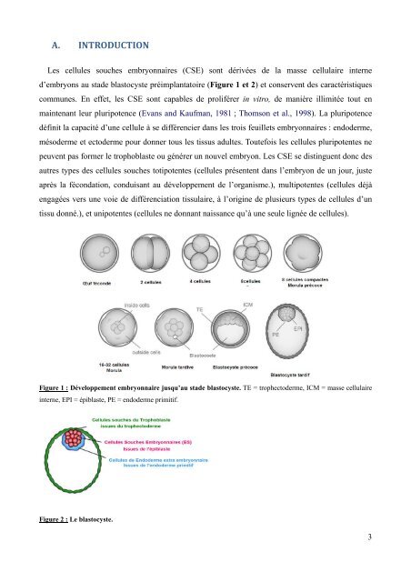 Reprogrammation de cellules somatiques en cellules souches - M2 ...