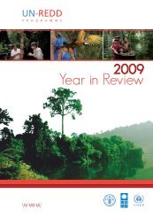 UN-REDD Programme Year in Review 2009.pdf - part of its ...