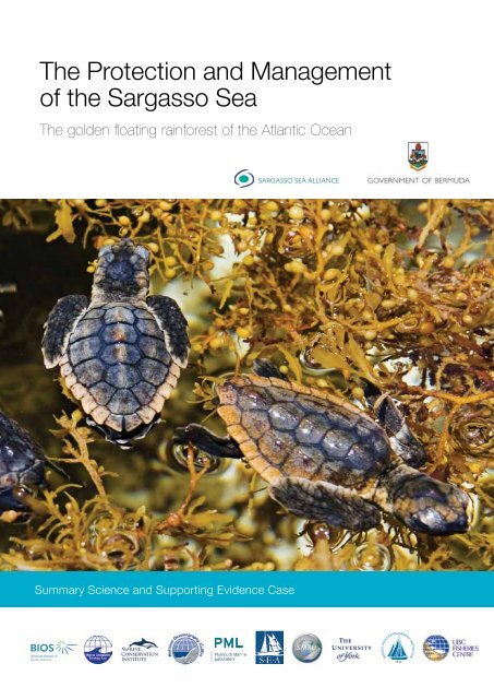 The Protection And Management Of The Sargasso Sea