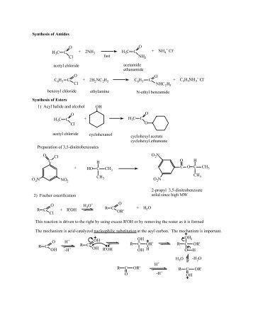Synthesis of Amides H3C C O Cl + 2NH3 H3C C O NH2 + NH4 fast ...