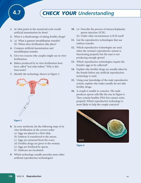 Unit A Reproduction