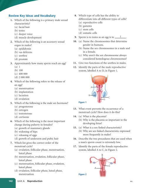 Unit A Reproduction