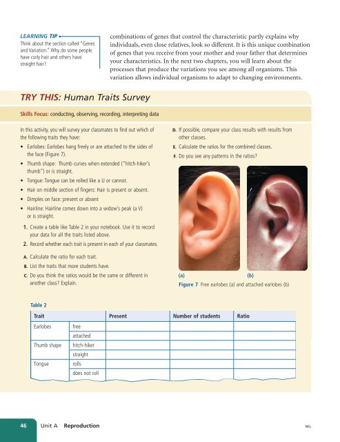 Unit A Reproduction