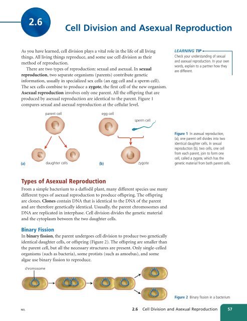 Unit A Reproduction